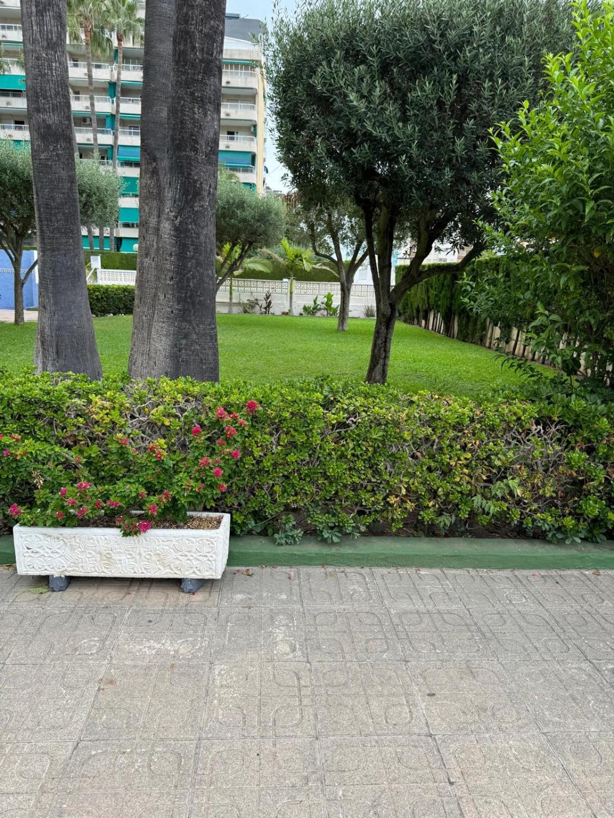 Laramar Leilighet Playa de Gandia Eksteriør bilde